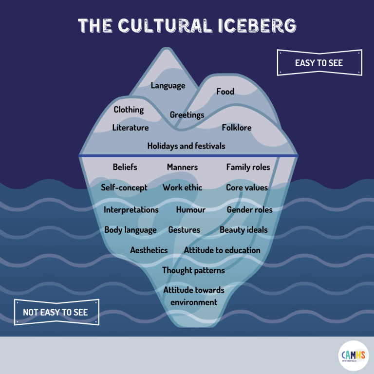 THE CULTURAL ICEBERG ? – CAMHS Professionals